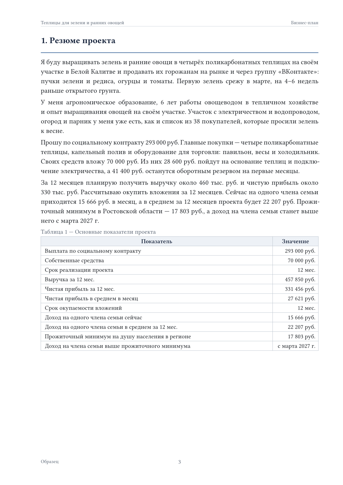 Страница бизнес-плана: резюме проекта и основные показатели